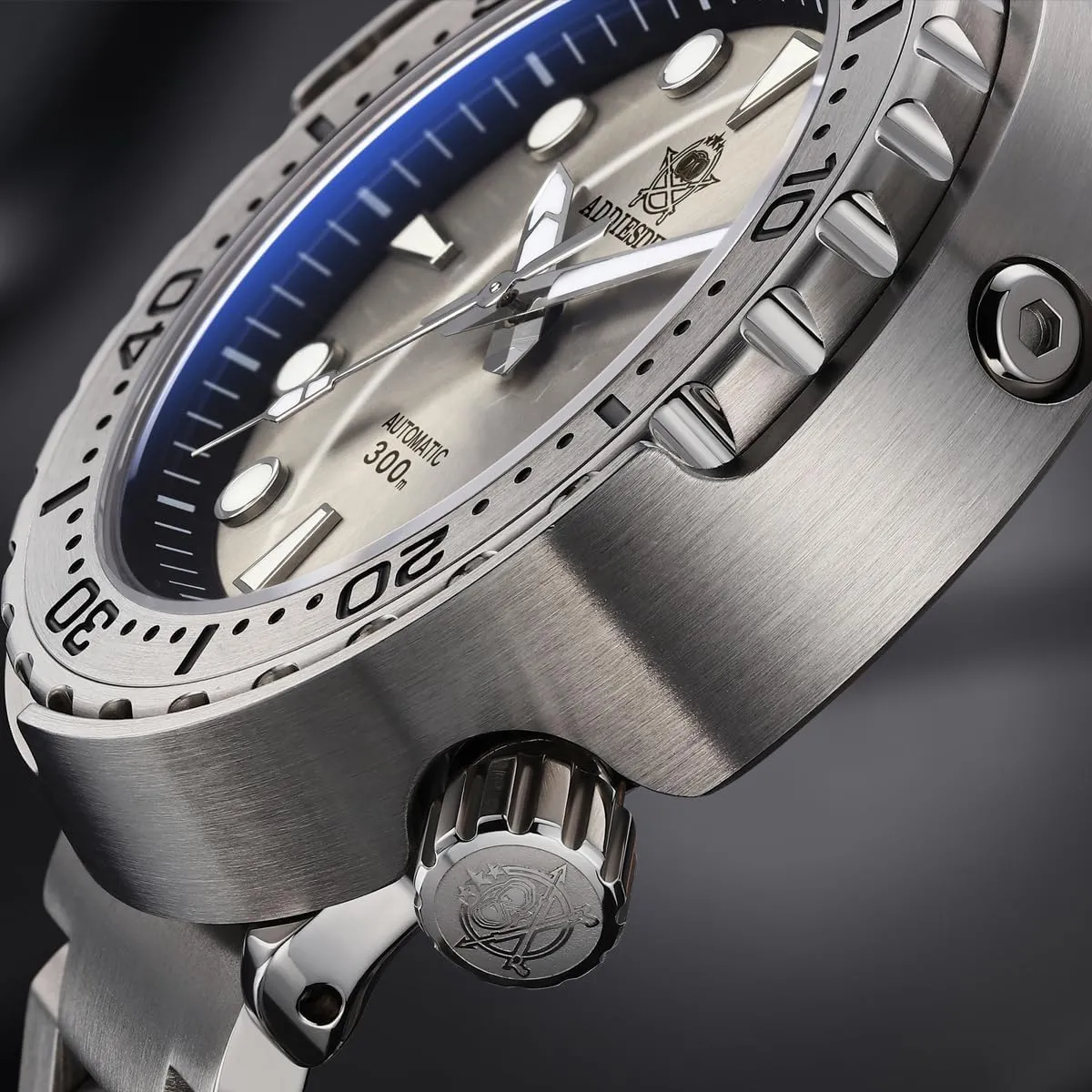 ADDIESDIVE Diver Watches for Men Large Automatic Wristwatch Nh35 Waterproof 300 M Luminescent Chromalight Big Dial My-H5