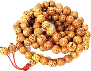 Bodhi Mala Necklace - Buddhist Tibetan 108 Prayer Beads for Meditation from Bodh Gaya India