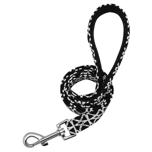 Custom Nylon Tag Collar for  Cat, Puppy and Dog. Leash Personalized. Pet Nameplate ID Collars Adjustable